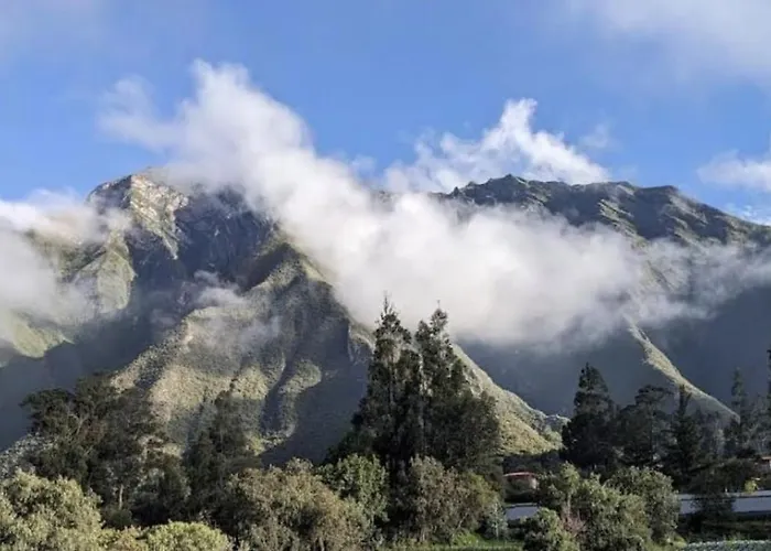 Florez De La Urubamba
