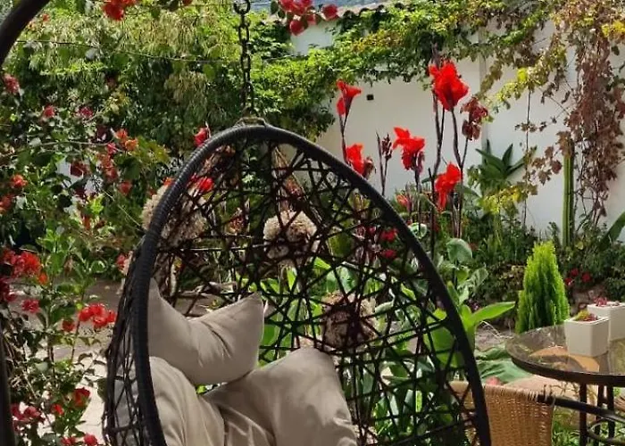 Florez De La Urubamba