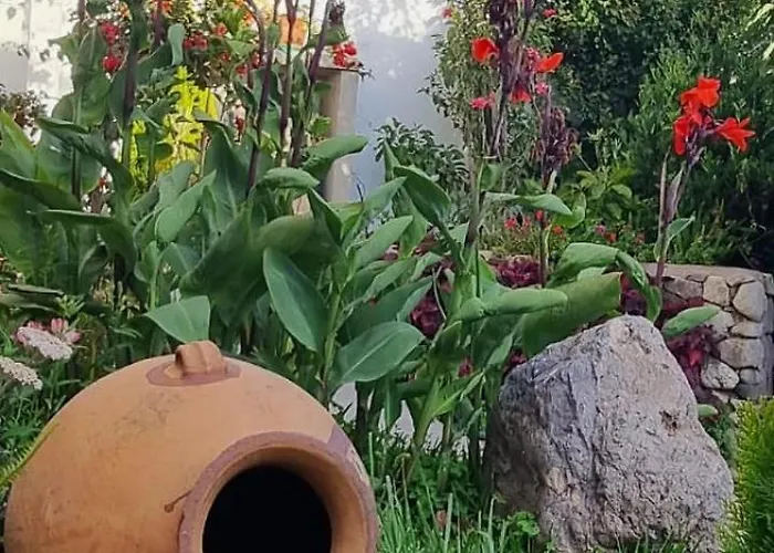 Florez De La Urubamba